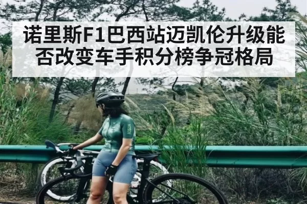 诺里斯F1巴西站迈凯伦升级能否改变车手积分榜争冠格局